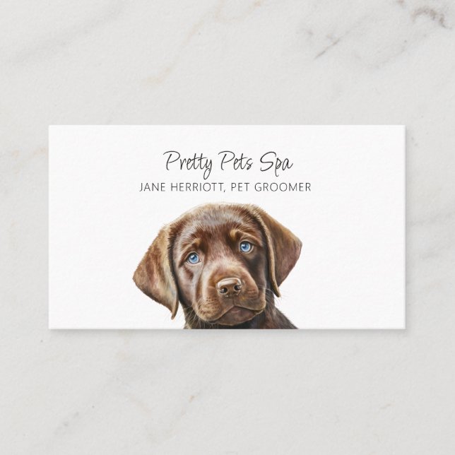 Cute Illustrated Puppy Pet Groomer Dog Spa Business Card (Front)