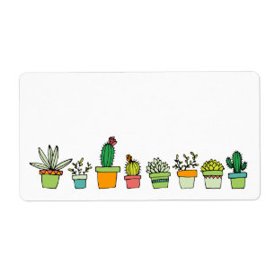 Cute Illustrated Succulent Garden
