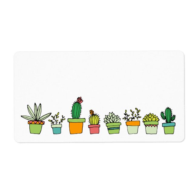 Cute Illustrated Succulent Garden (Front)
