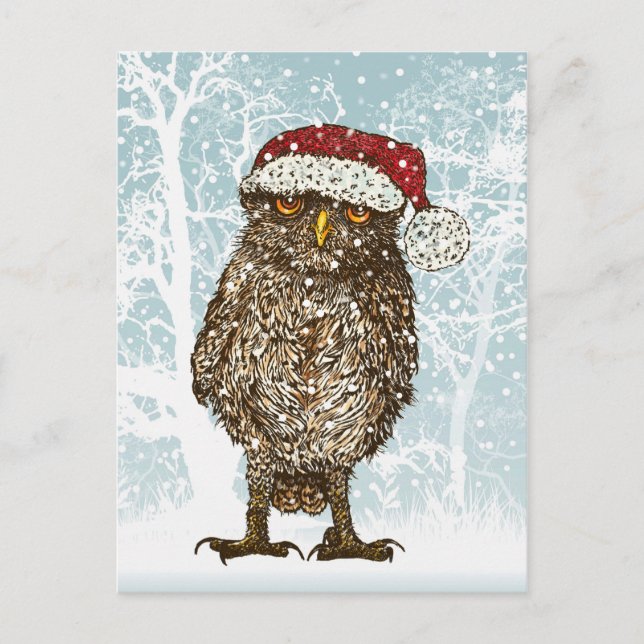Cute Illustration of an Owl wearing a Santa Hat Holiday Postcard (Front)