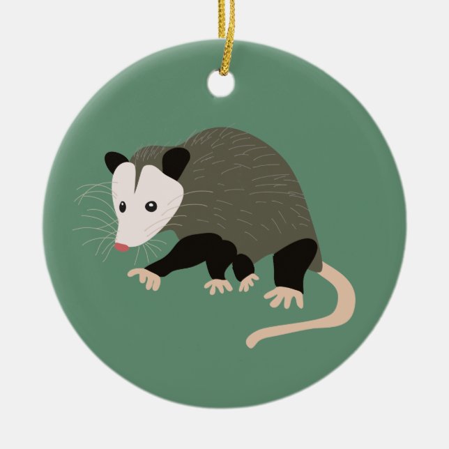 Cute Illustration Possum Personalised Light Green Ceramic Tree Decoration (Front)