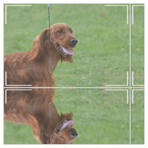 Cute Irish Setter Fabric