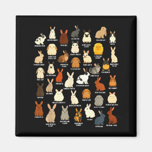 Cute Is Rabbit Lover Bunny Breeds Rabbit Magnet