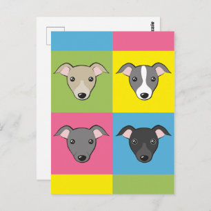 Cute Italian Greyhounds Cartoon Colourful Pop Art Postcard