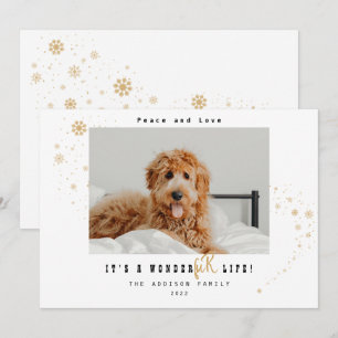 Cute It's A WonderFUR Life Pet Photo Christmas  Holiday Card