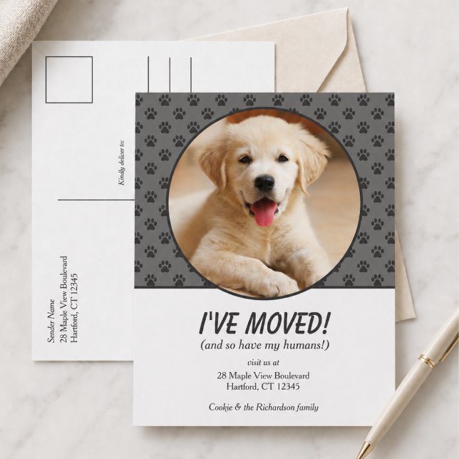 Cute I've Moved Custom Dog Photo Postcard (cute fun modern stylish i've moved new home announcement with custom pet puppy dog photo)