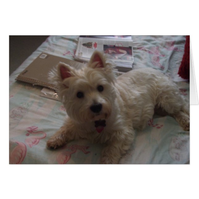 cute jack card! (Front Horizontal)