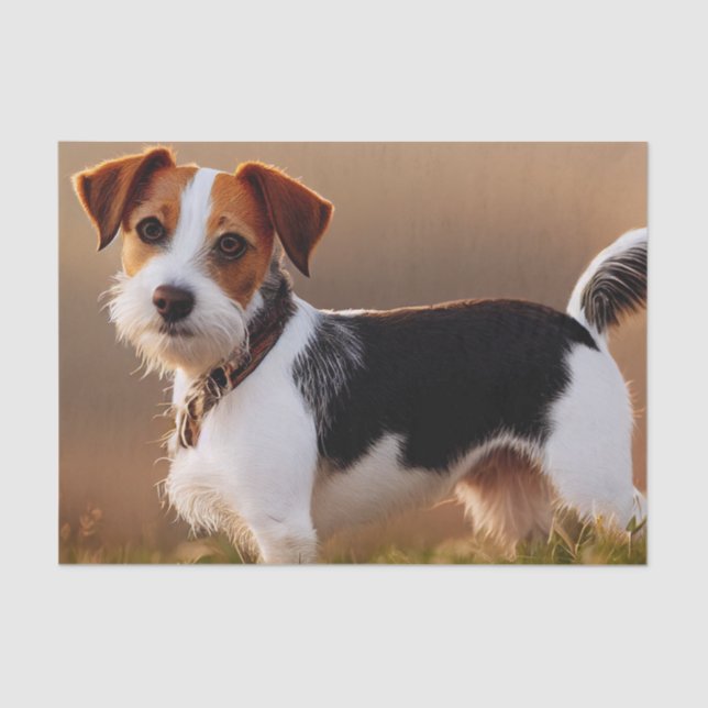 Cute Jack Russel Terrier Dog Photograph Tissue Paper (Front)