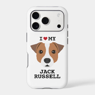 Cute Jack Russell Dog
