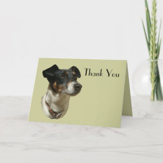 Cute Jack Russell Dog Thank You Card