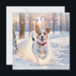 Cute Jack Russell Dog Winter Snow Christmas Holiday Card<br><div class="desc">Send canine Christmas wishes to friends and family with this Jack Russell terrier picture card. The cute dog is pictured running happily through the winter snow, on a woodland path. The greeting 'Merry Christmas' is at the top in elegant script typography, while the lower text can be personalised with your...</div>