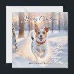 Cute Jack Russell Dog Winter Snow Christmas Holiday Card<br><div class="desc">Send canine Christmas wishes to friends and family with this Jack Russell terrier picture card. The cute dog is pictured running happily through the winter snow, on a woodland path. The greeting 'Merry Christmas' is at the top in elegant script typography, while the lower text can be personalised with your...</div>