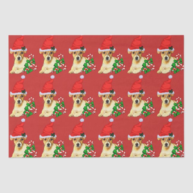 Cute Jack Russell Terrier Christmas Tissue Paper (Front)
