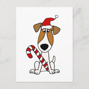 Cute Jack Russell Terrier in Santa Hat Christmas Postcard