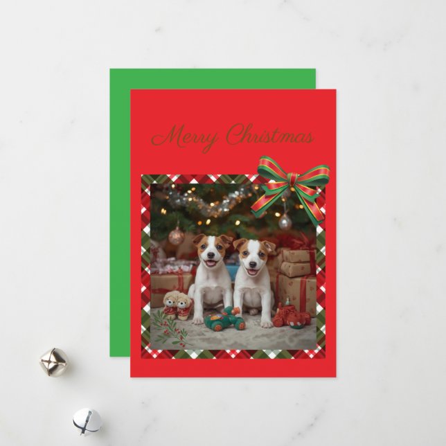 Cute Jack Russell Terrier Puppies and Christmas ♡ Holiday Card (Front/Back In Situ)