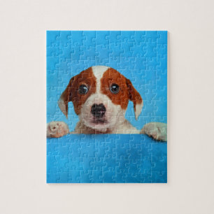Cute Jack Russell Terrier Puppy Jigsaw Puzzle