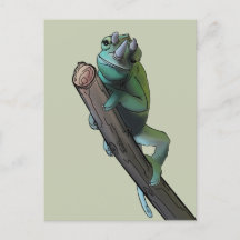 Cute Jackson’s Chameleon