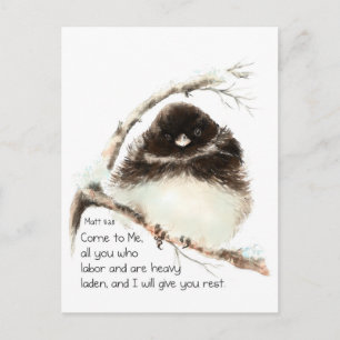 Cute Junco Bird, Scripture, Matt 11:28, Rest Postcard