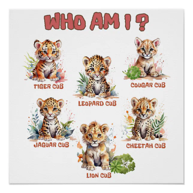 Cute Test Cute jungle baby wild animals educational quiz poster | Zazzle