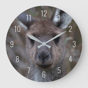 Cute Kangaroo Face Close-up Australia Large Clock