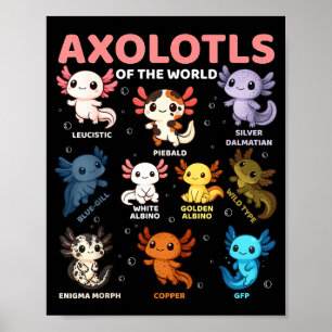 Cute Kawaii Axolotls Of The World Funny Axolotl Ty Poster
