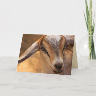 Cute Kid Goat Get Well Card
