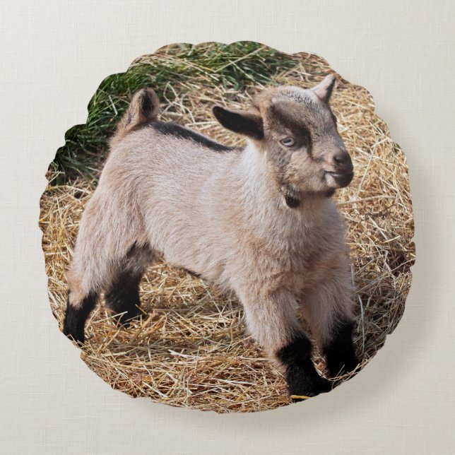 Cute Kid Pillow (Front)
