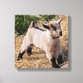 Cute Kid Wrapped Canvas Print