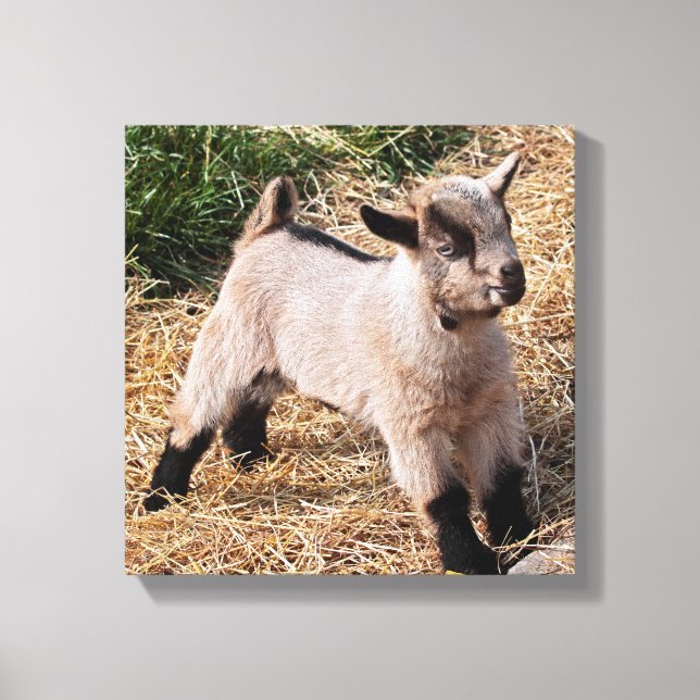 Cute Kid Wrapped Canvas Print (Front)