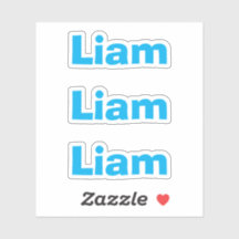 Cute Kids Blue Fun Name Sticker