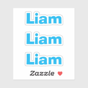 Cute Kids Blue Fun Name Sticker