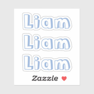 Cute Kids Boy Baby Blue Name Sticker
