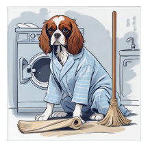 Cute King Charles Spaniel in Pyjamas Doing Laundry