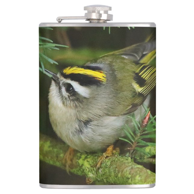 Cute Kinglet Songbird Causes Stir in the Fir Hip Flask (Front)