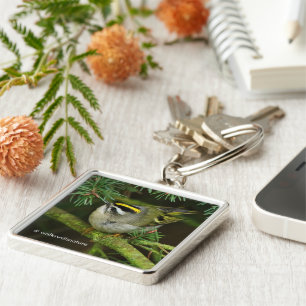 Cute Kinglet Songbird Causes Stir in the Fir Key Ring