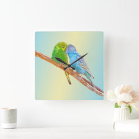Cute kissing budgies -acrylic on pastel background