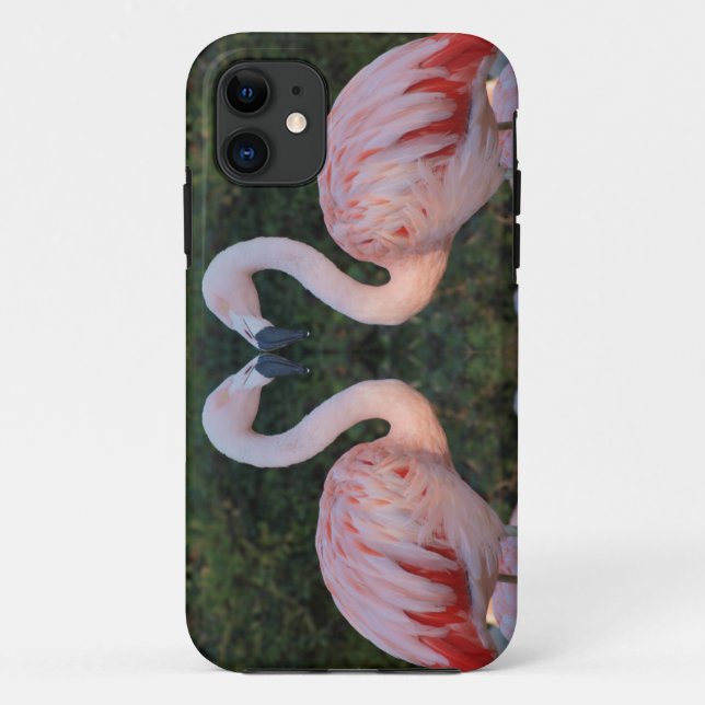 Cute Kissing Flamingo Photography Case-Mate iPhone Case (Back)