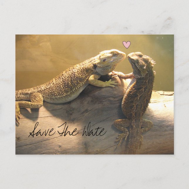 Cute Kissing Lizards Wedding Save The Date Announcement Postcard (Front)