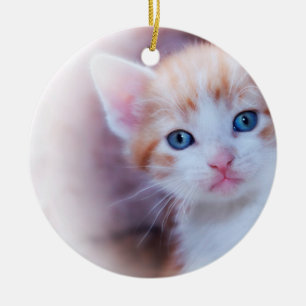 Cute Kitten 1 Photo Ceramic Tree Decoration
