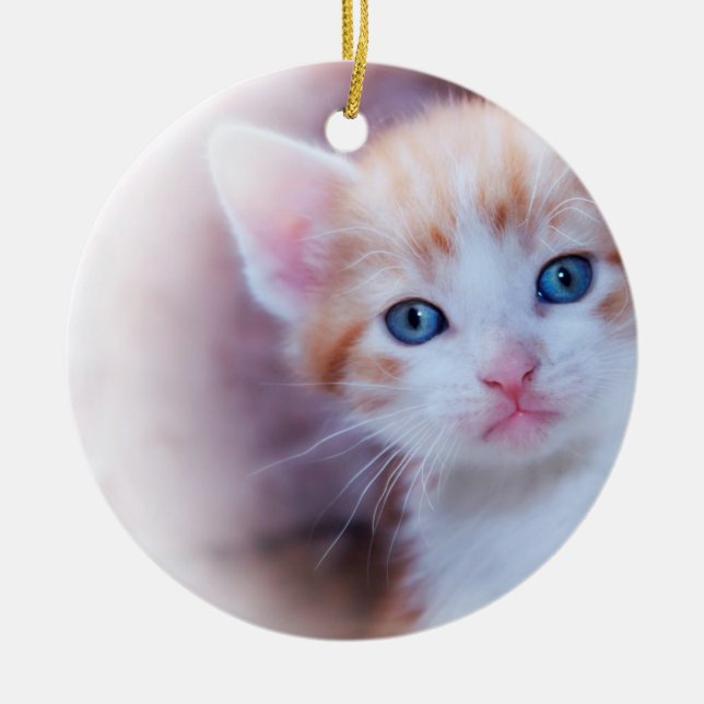 Cute Kitten 1 Photo Ceramic Tree Decoration (Front)