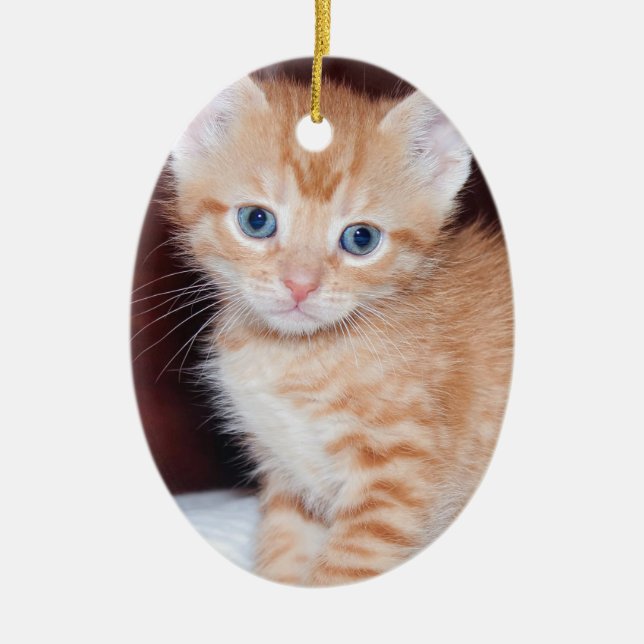 Cute Kitten 2 Photo Vertical Oval Ceramic Tree Decoration (Front)