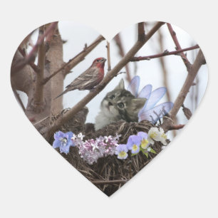 Cute kitten and bird nest heart sticker