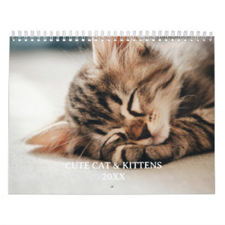Cute Kitten And Cat Pet Photo Calendar