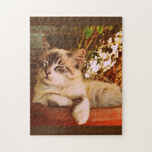 Cute Kitten Asleep Jigsaw Puzzle