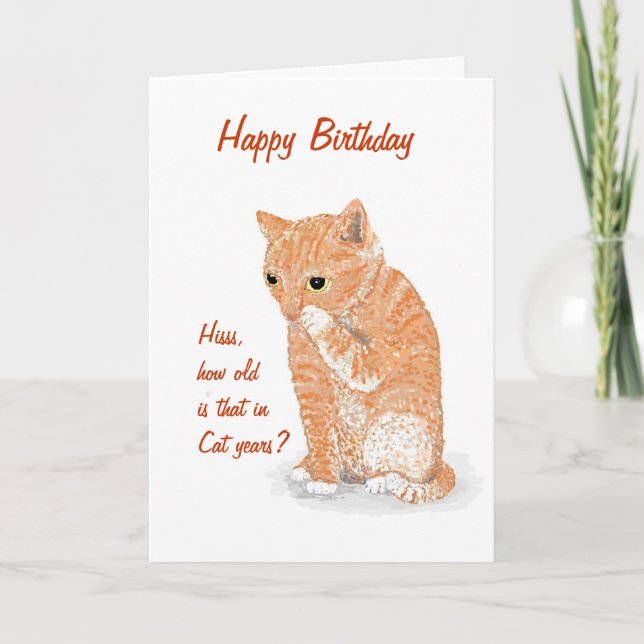Cute Kitten Birthday card (Front)