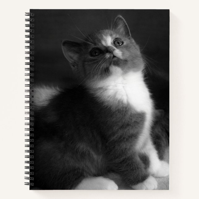 Cute Kitten Black and White Portrait Photograph Notebook (Front)