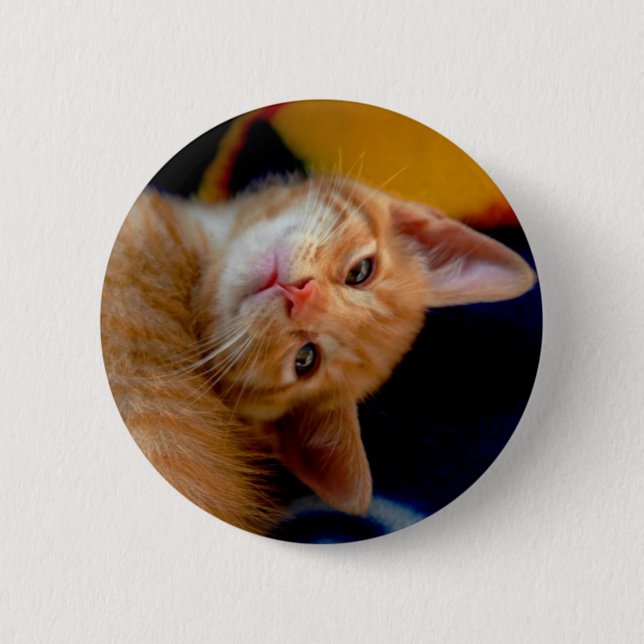 Cute Kitten Button (Front)