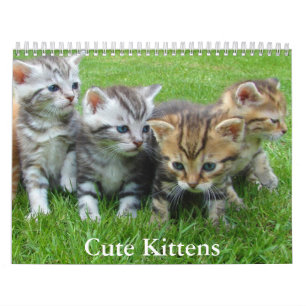 Cute Kitten Calendar