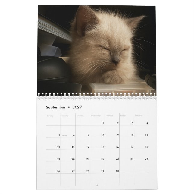 Cute kitten calender for 2026 calendar (Sep 2027)
