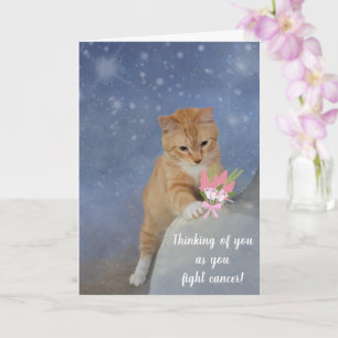 Cute Kitten Cancer Support Card